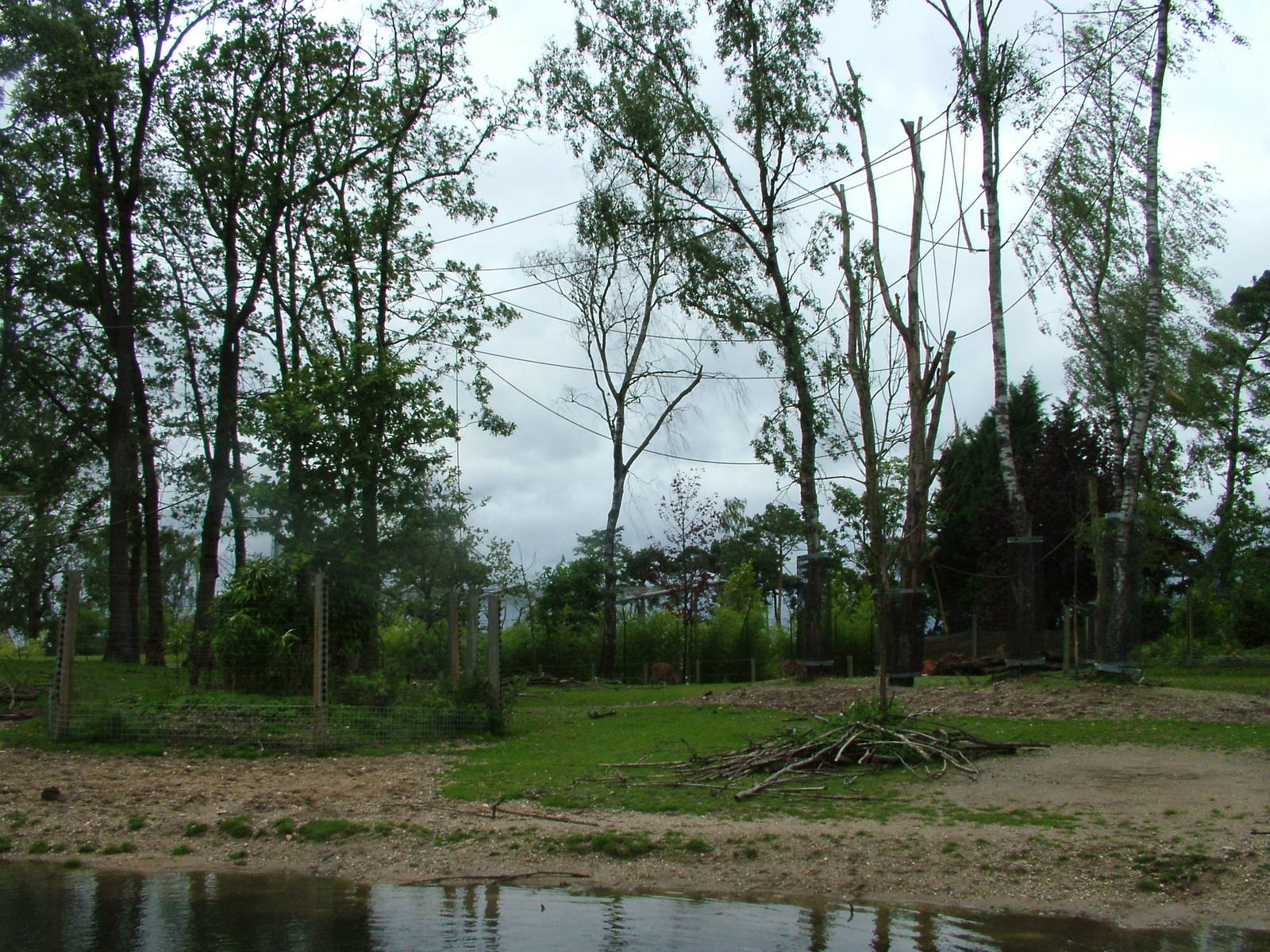 Burgers Rimba at Burgers Zoo Arnhem, 29/08/10