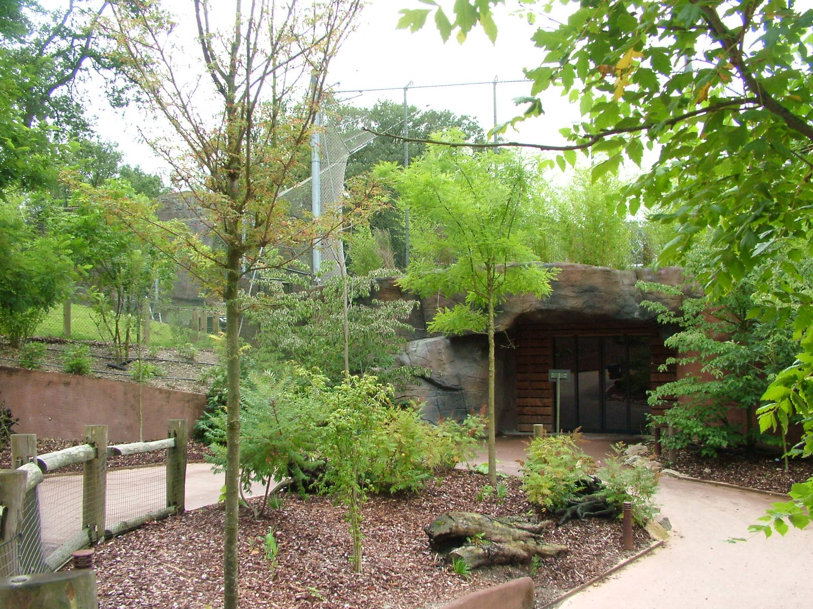 Burgers Rimba at Burgers Zoo Arnhem, 29/08/10