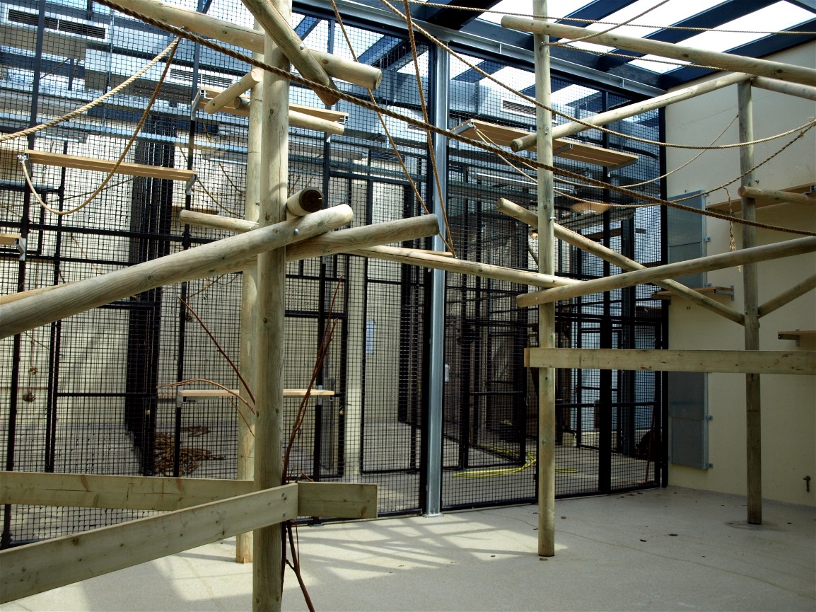 Burgers Rimba - Gibbon indoor exhibit