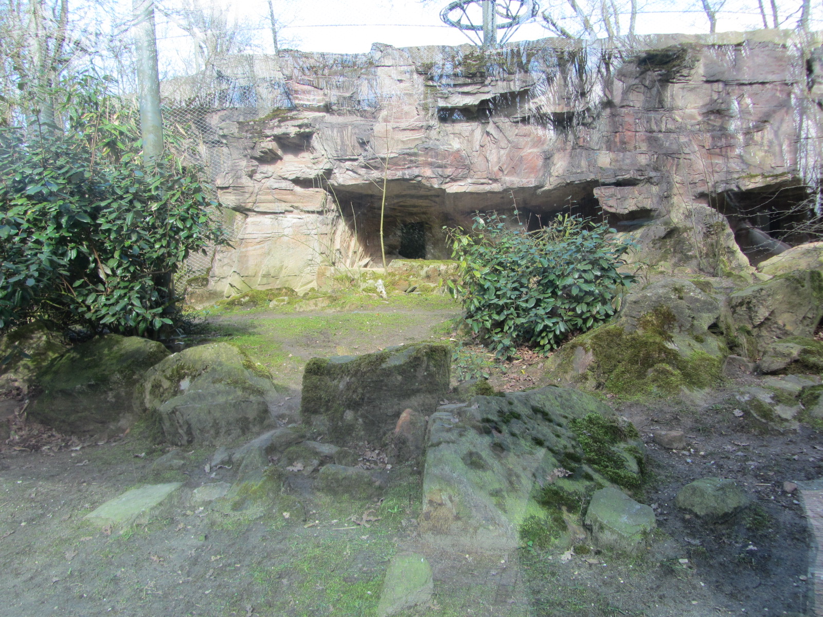 Burgers' Rimba - Golden jackal enclosure
