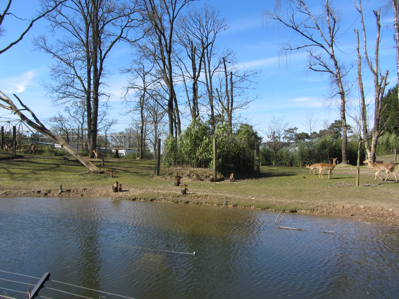 Burgers' Rimba - Main paddock