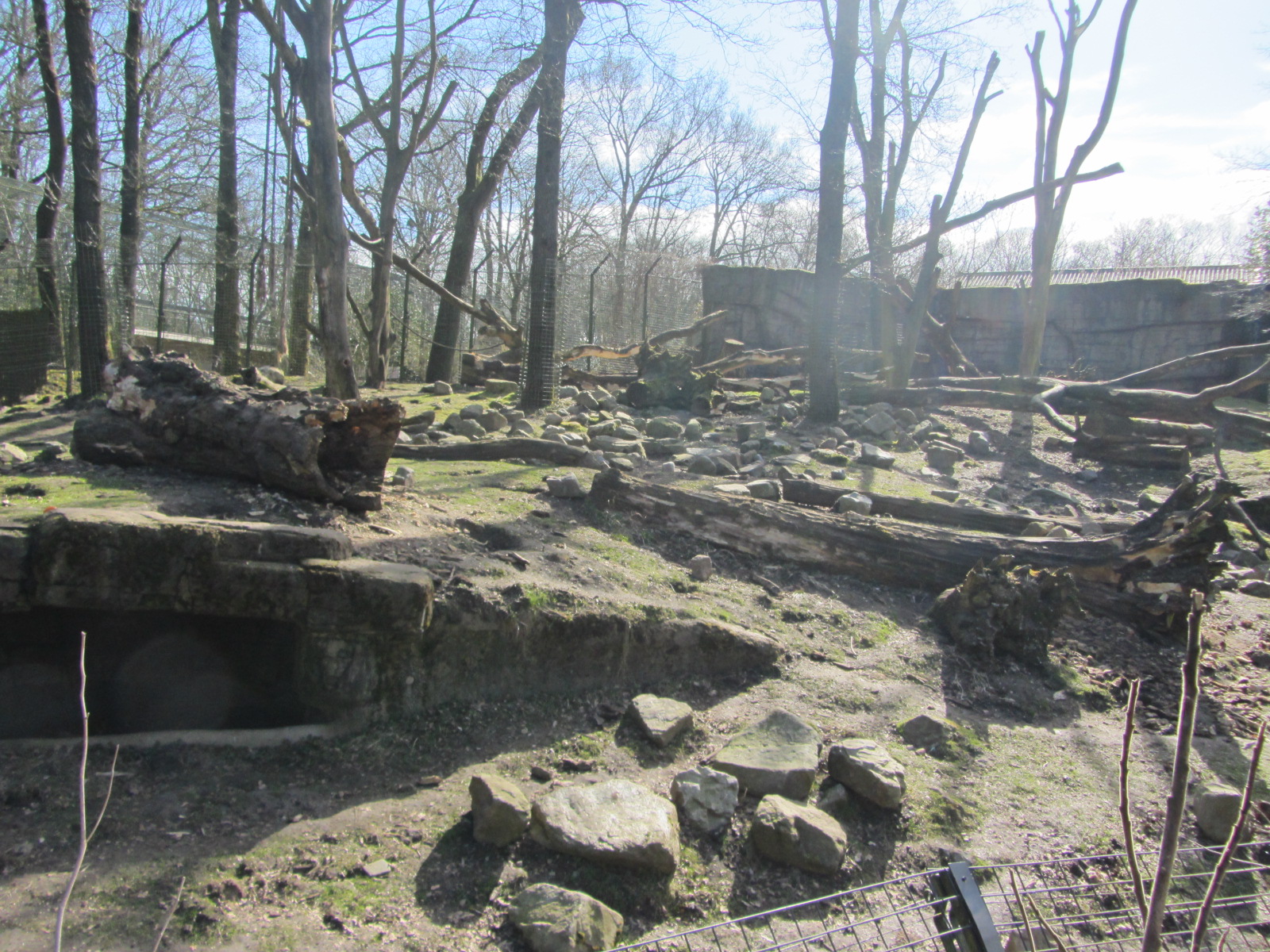 Burgers' Rimba - Malayan sun bear enclosure