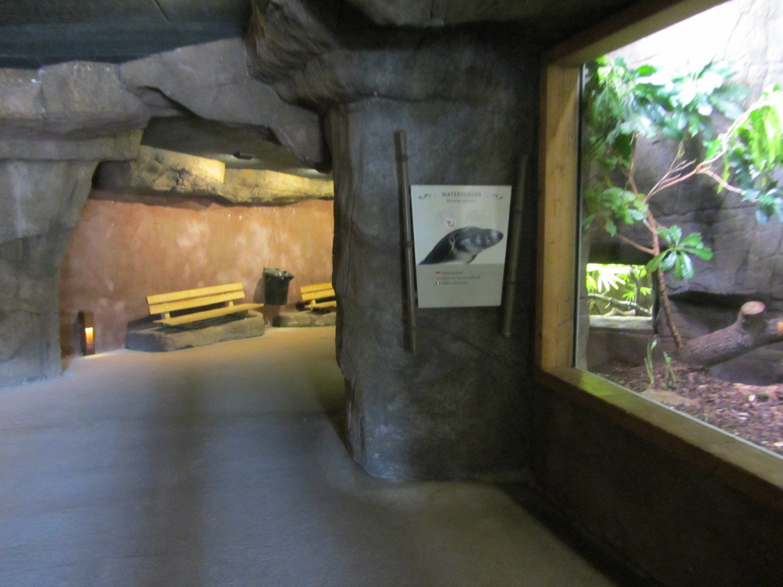 Burgers' Rimba - Reptile tunnel