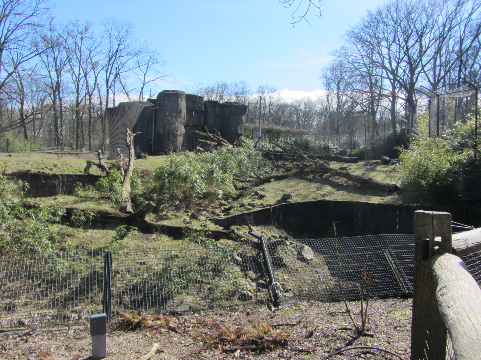 Burgers' Rimba - Sumatran tiger enclosure