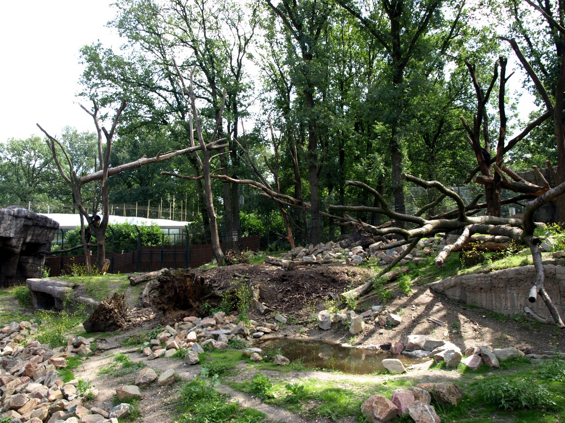 Burgers Rimba - Sun bear exhibit