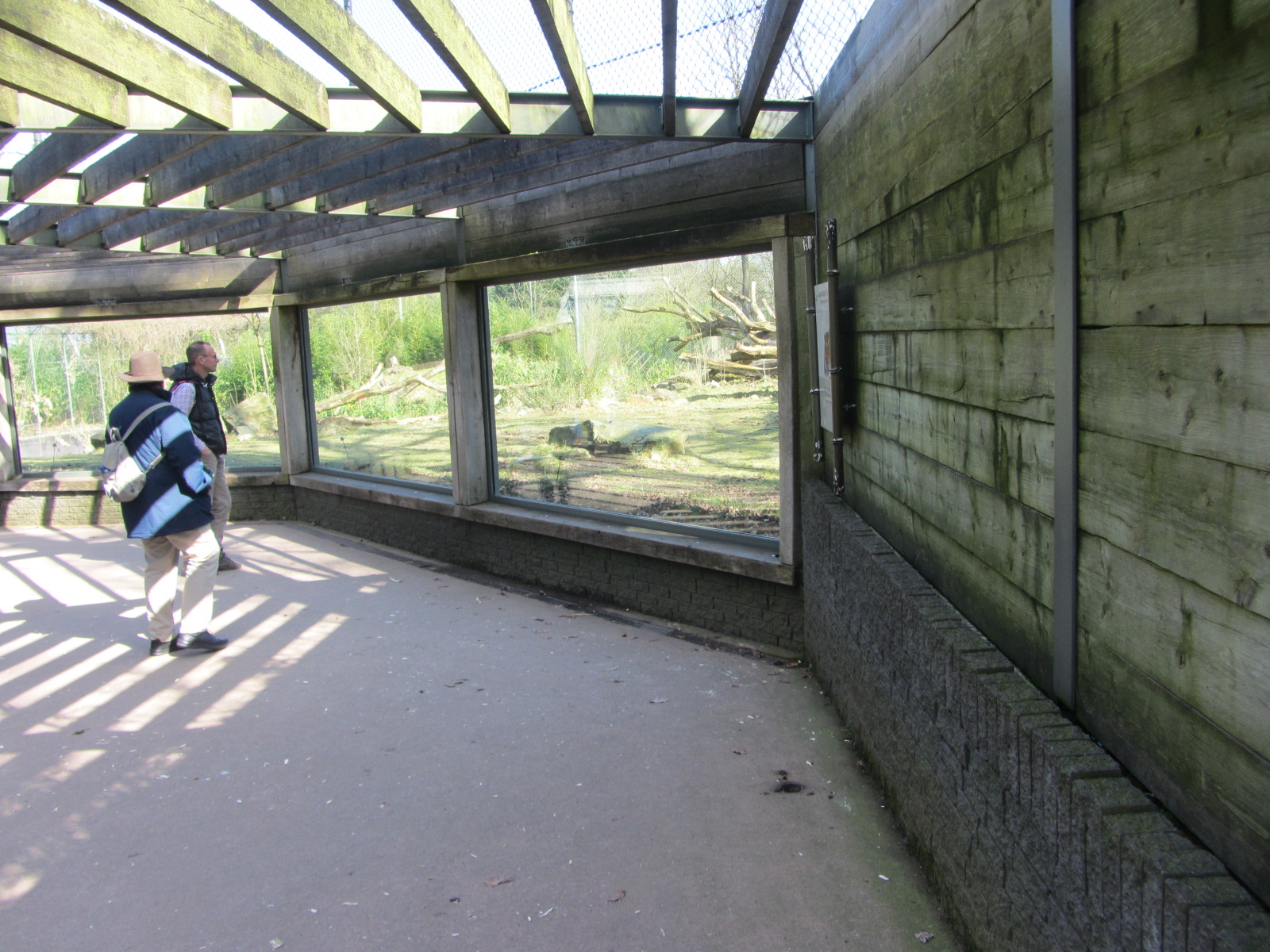 Burgers' Rimba - Tiger viewing point