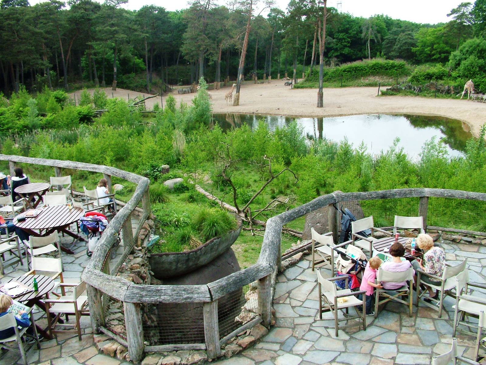Burgers Safari at Burgers Zoo Arnhem, 30/05/12