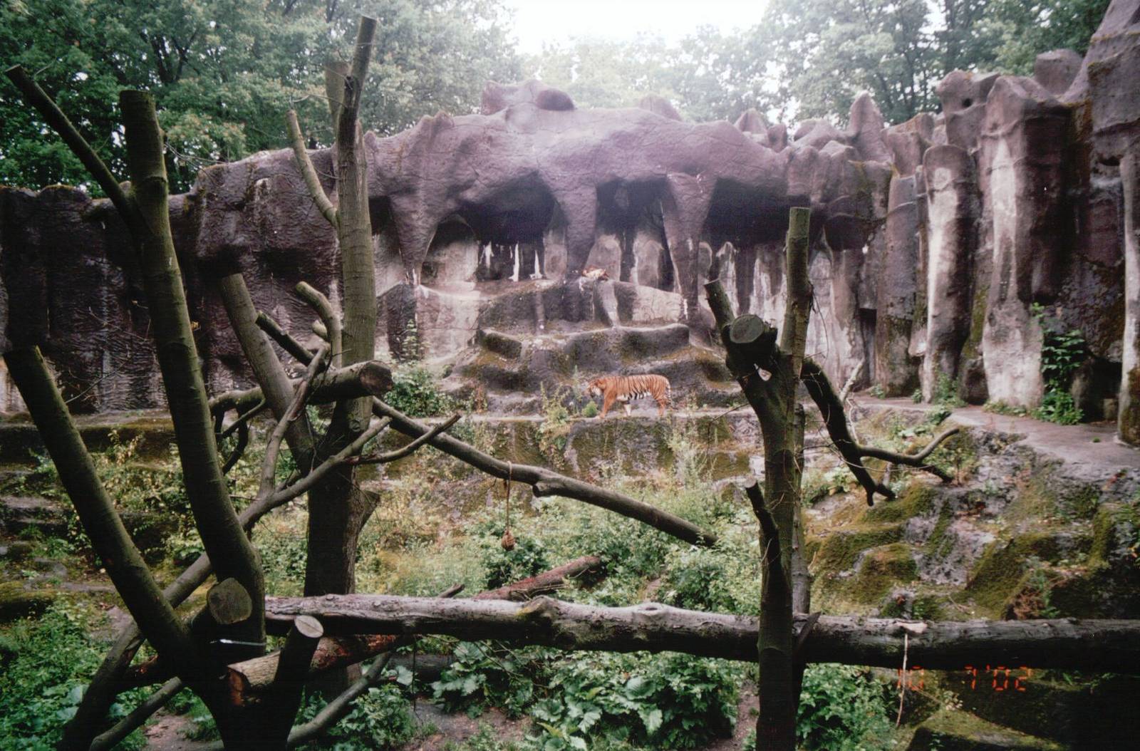 Burgers Zoo 2002 - Sumatran Tiger exhibit