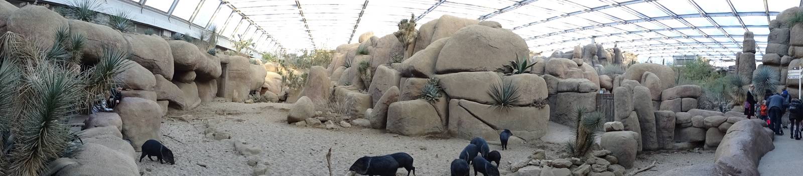 Burgers' Zoo 2015 - Desert