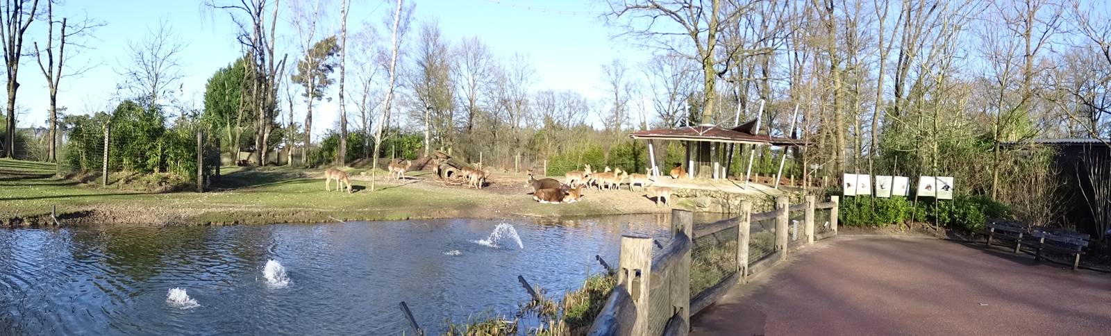 Burgers' Zoo 2015 - Rimba