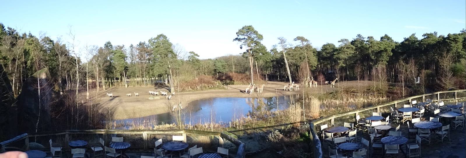 Burgers' Zoo 2015 - Safari