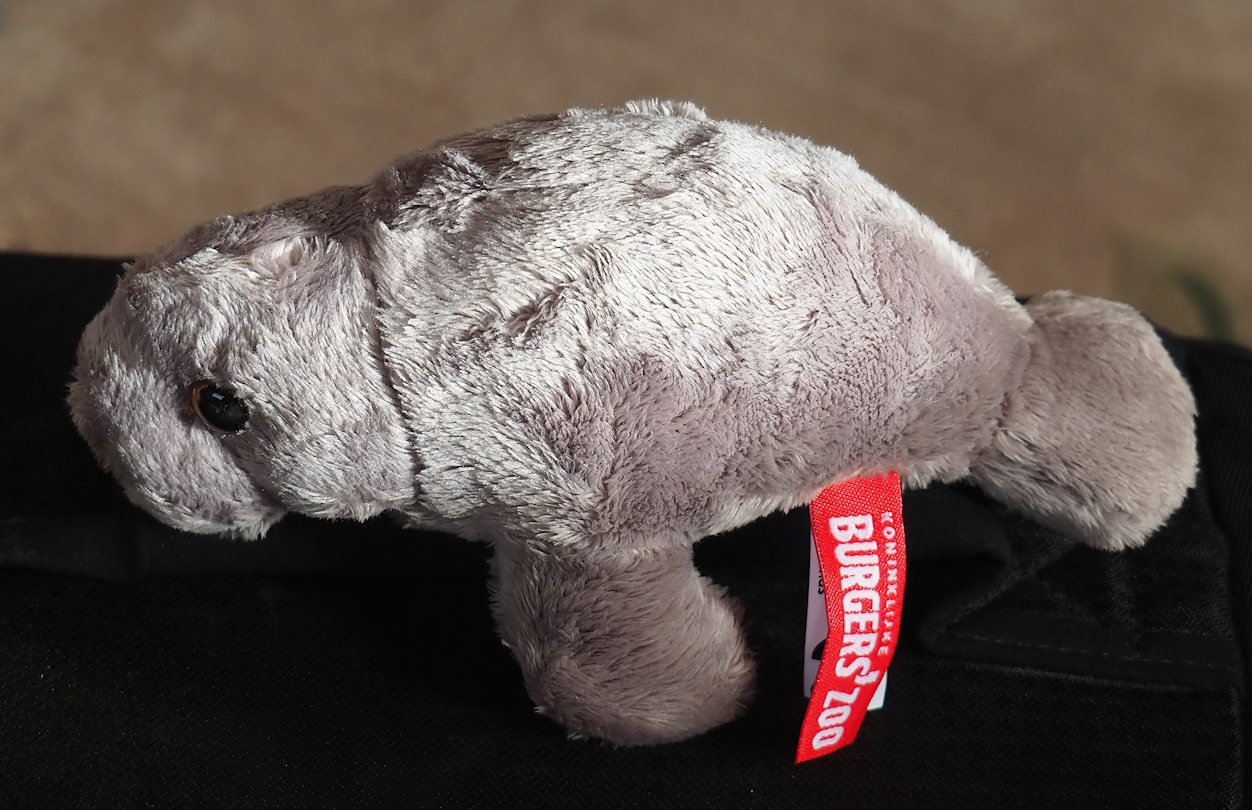 Burgers' Zoo Antillean manatee plushie