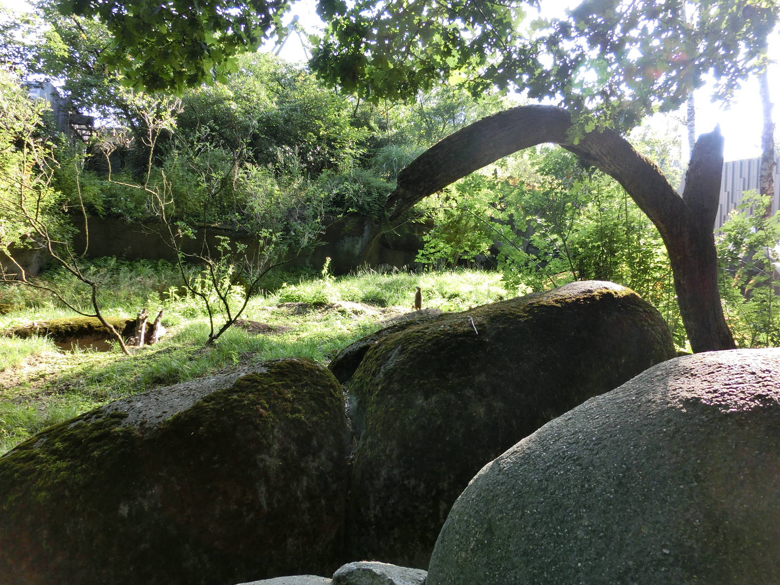 Burgers' Zoo Arnhem (August 2013)