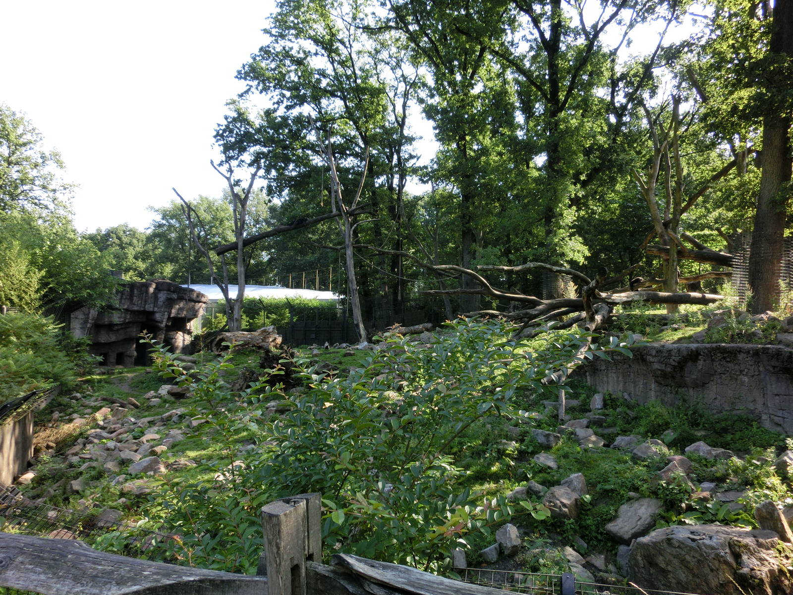 Burgers' Zoo Arnhem (August 2013)