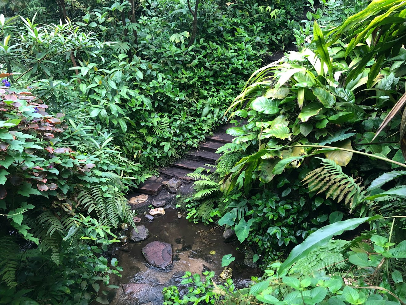 Burger's Zoo- Burger's Bush- 2022