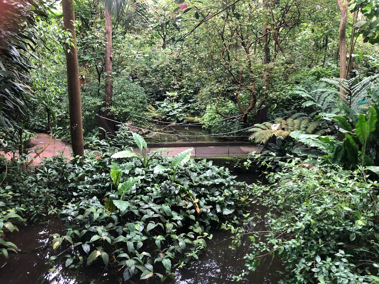 Burger's Zoo- Burger's Bush- 2022