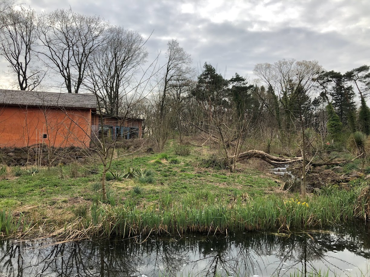 Burgers' Zoo- lemur enclosure- 2022