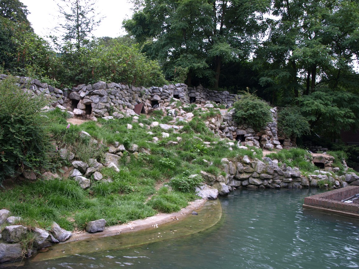Burgers Zoo - Penguins