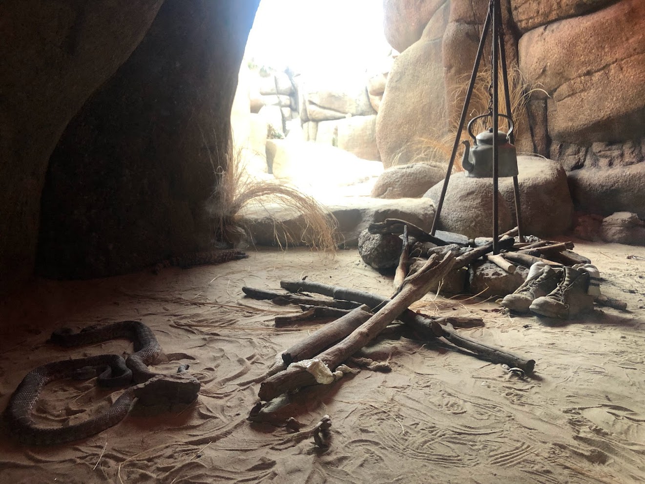 Burger's Zoo- rattlesnake exhibit- 2022