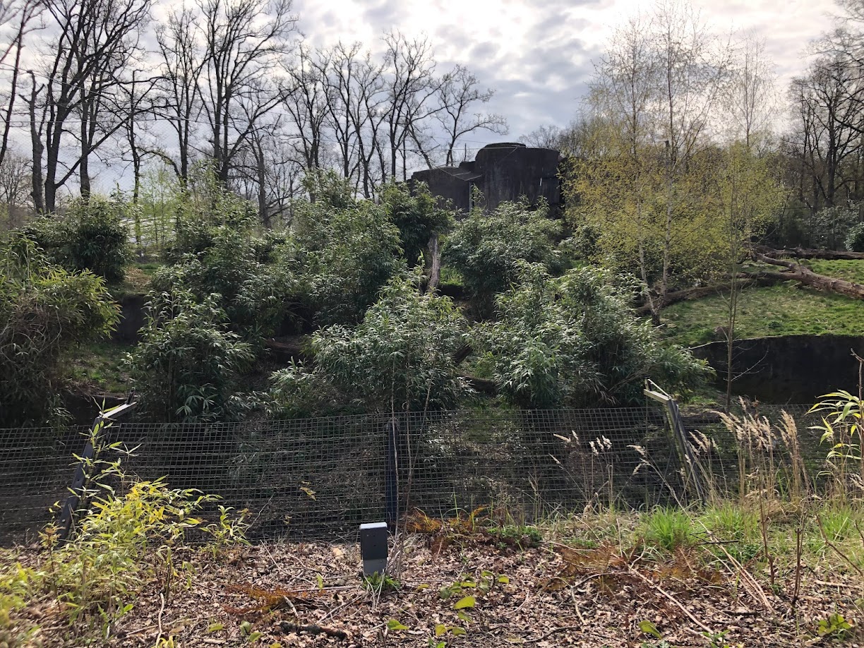 Burgers' Zoo- Sumatran tiger enclosure. 2022