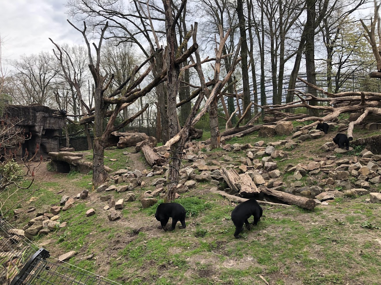 Burger's Zoo- sun bear and binturong enclosure- 2022