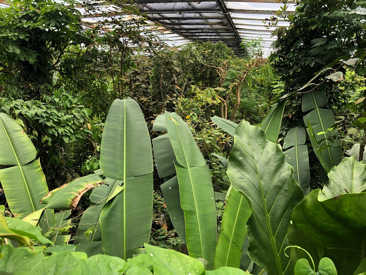 Burgers' Zoo- view over Burgers' Bush- 2022