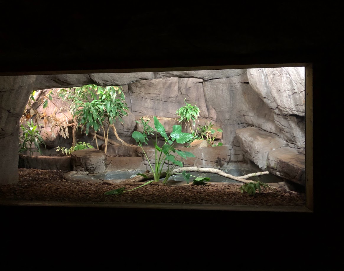Burgers' Zoo- water monitor terrarium- 2022