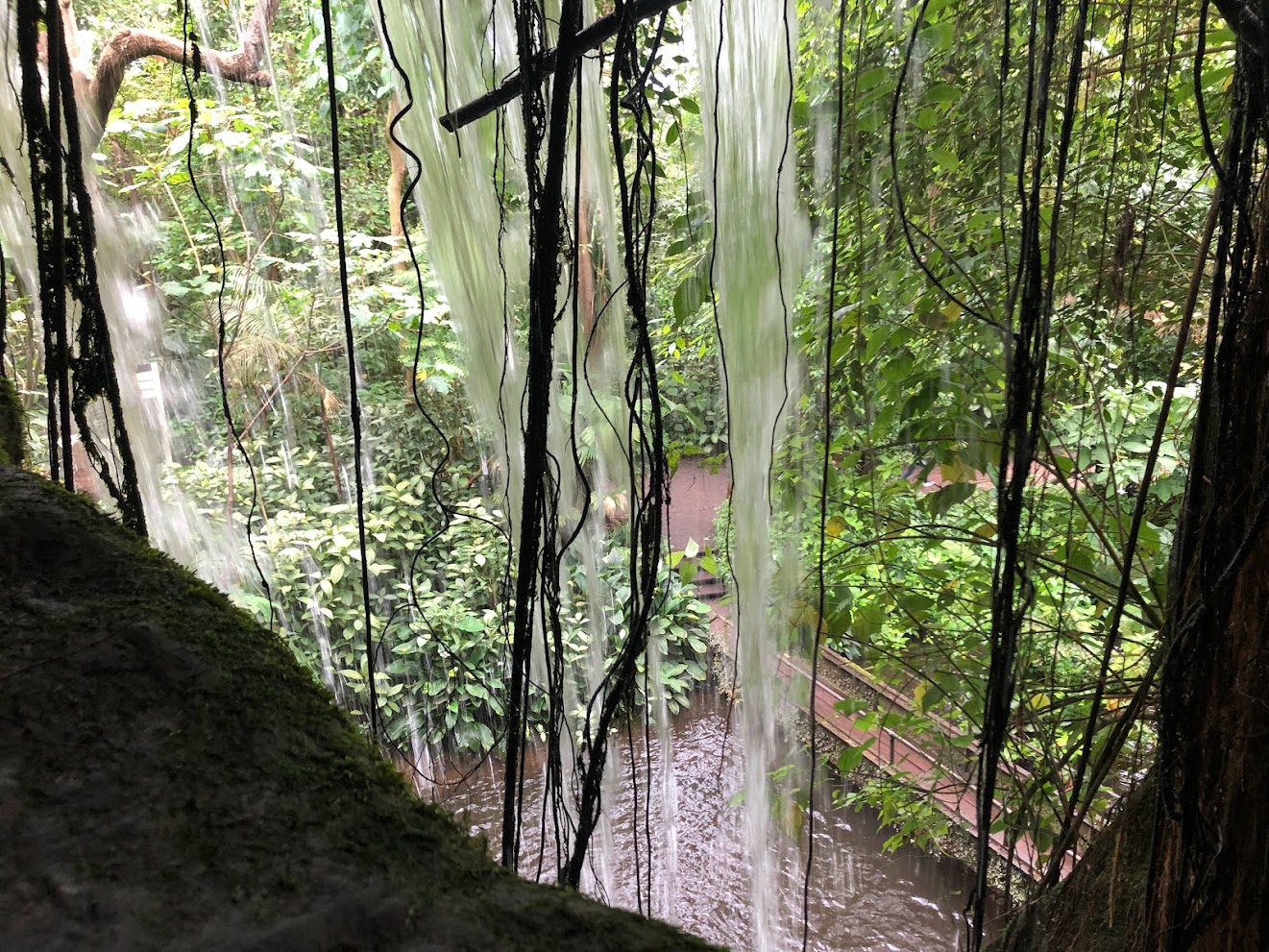 Burger's Zoo- waterfall in Burger's Bush- 2022