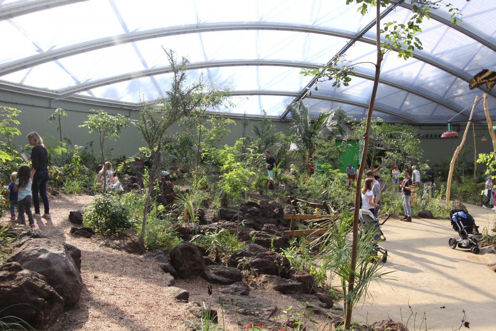 Burgers'Mangrove, tropisch droogbos