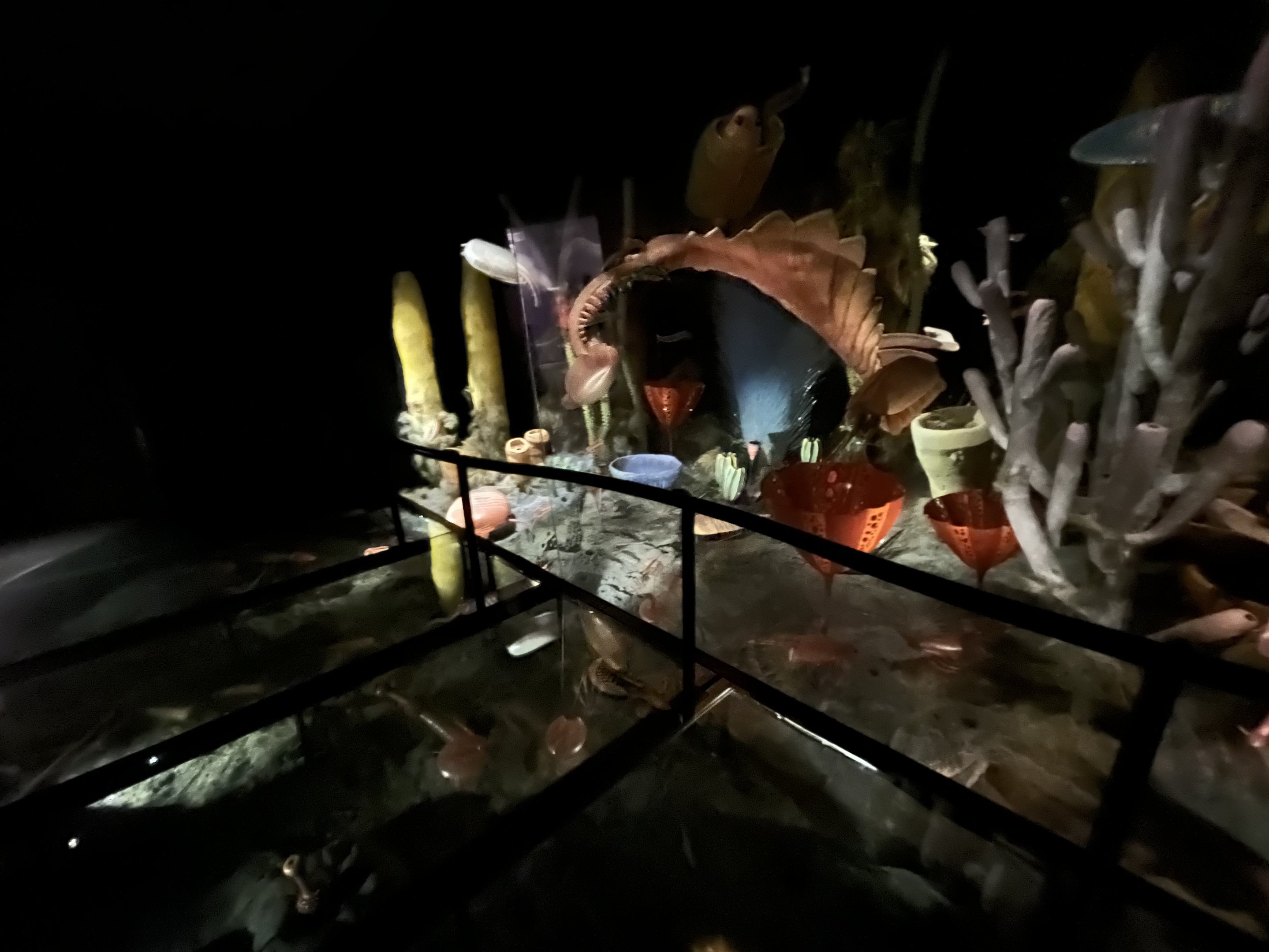 Burgess Shale Passage