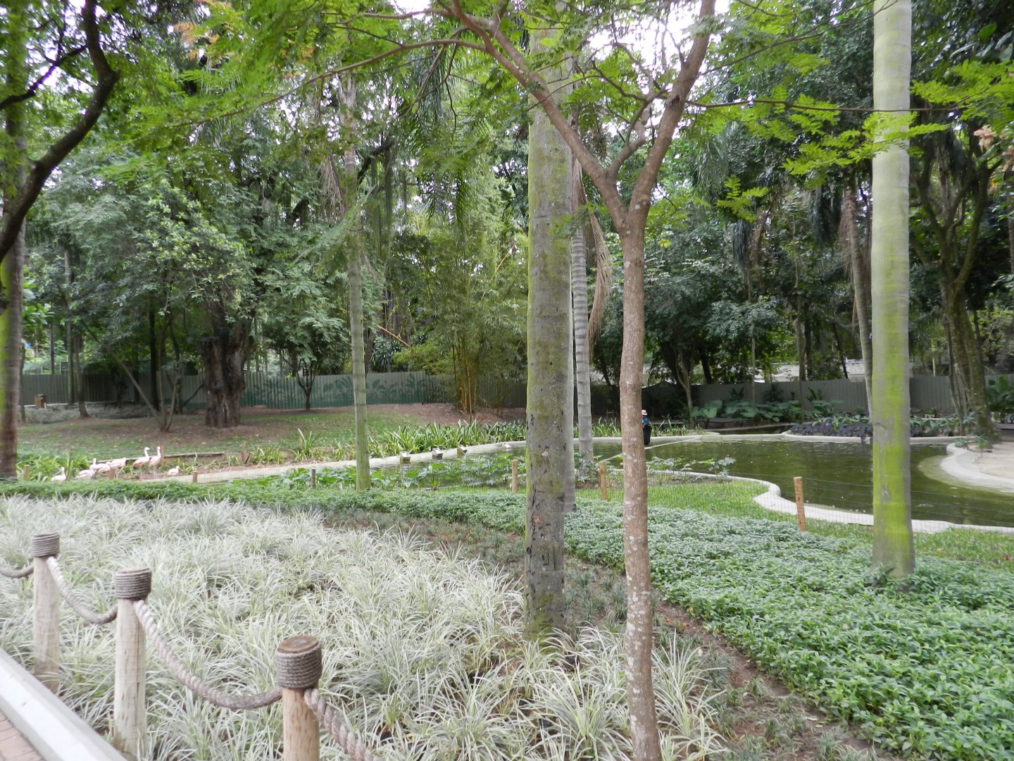 Burle marx gardens - BioParque do Rio