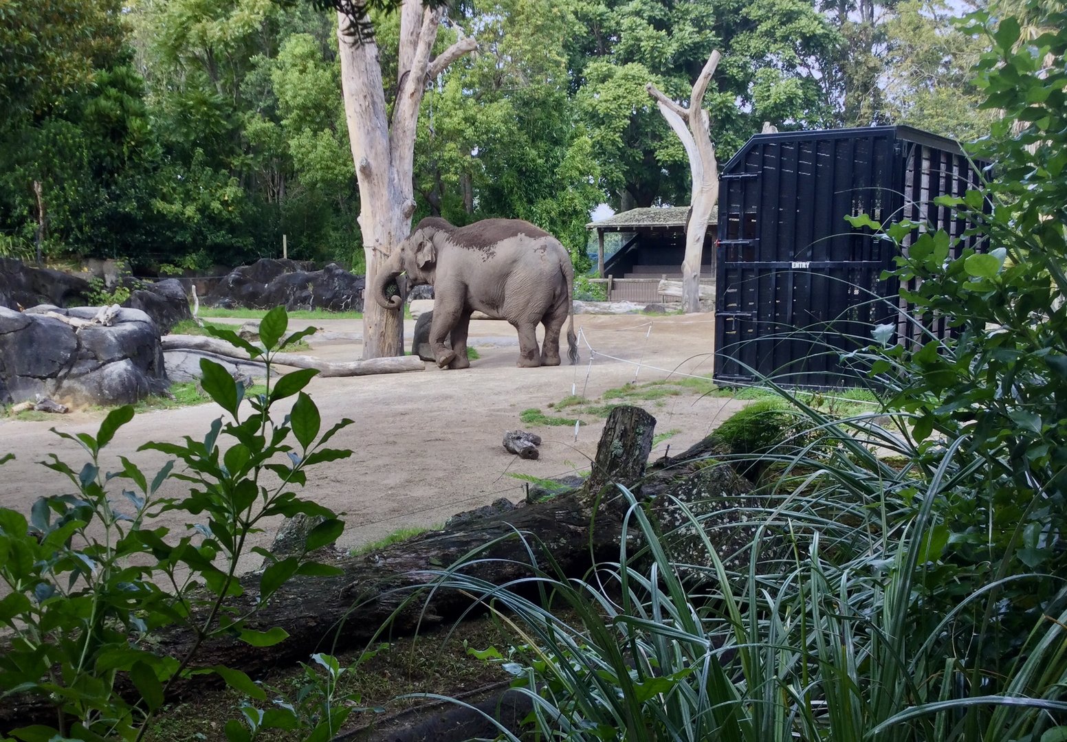 Burma and Export Crate - One Year On