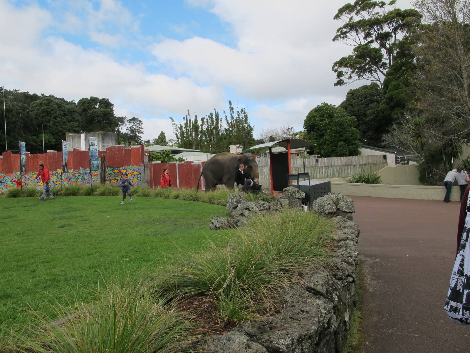 Burma - Auckland Zoo 2013