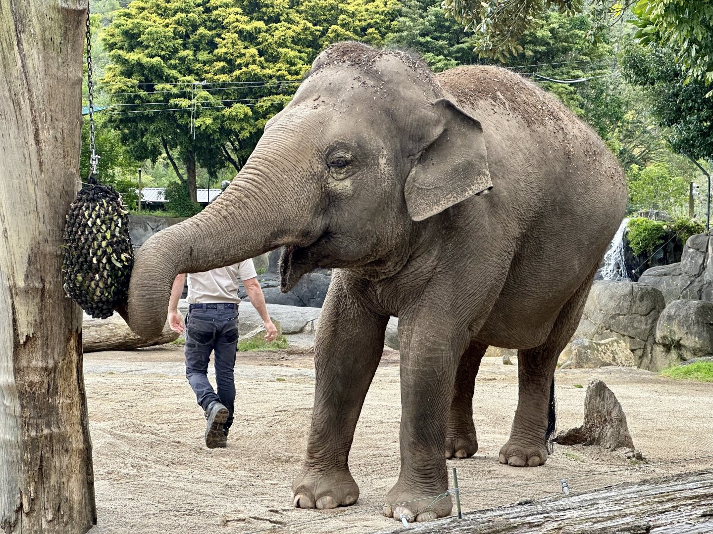 Burma (Food Enrichment)