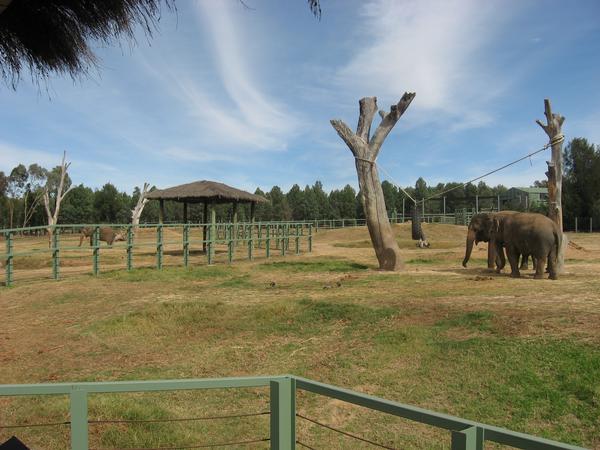 Burma separated from Arna and Gigi