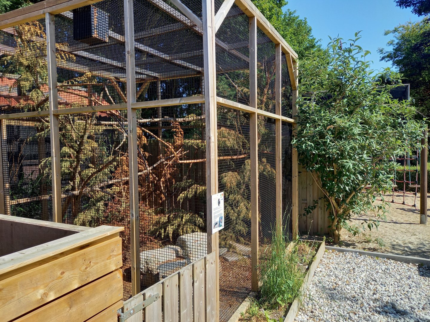 Burmese finlayson's squirrel-enclosure