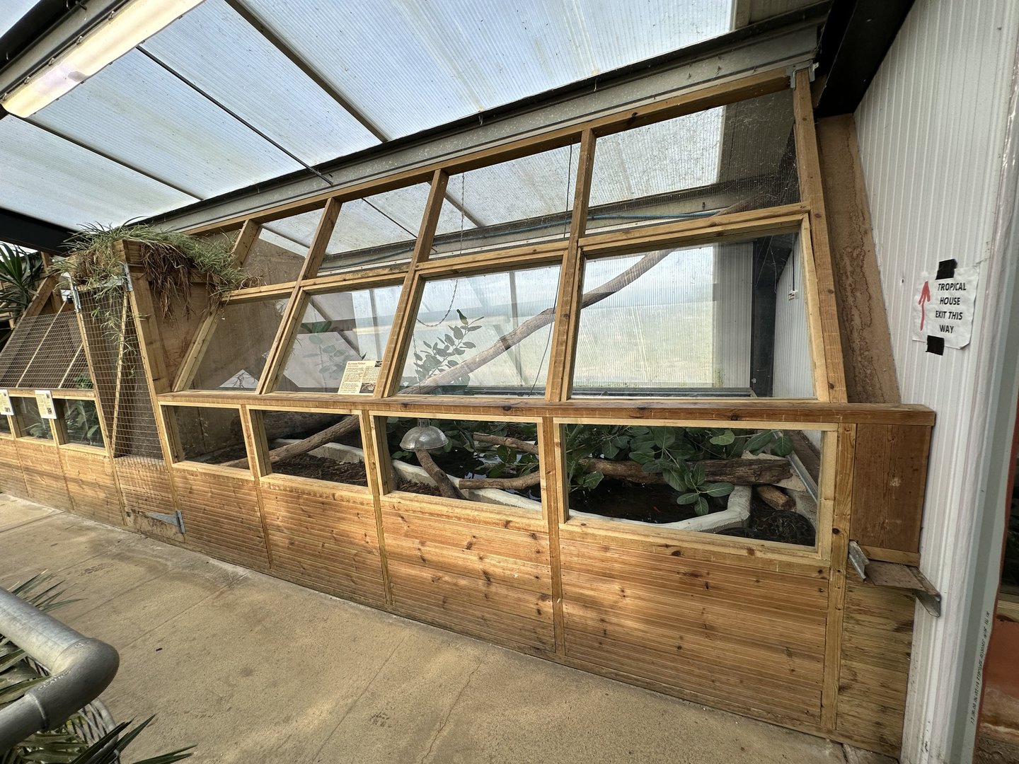 Burmese Python Enclosure at Johnsons of Old Hurst (October 2023)