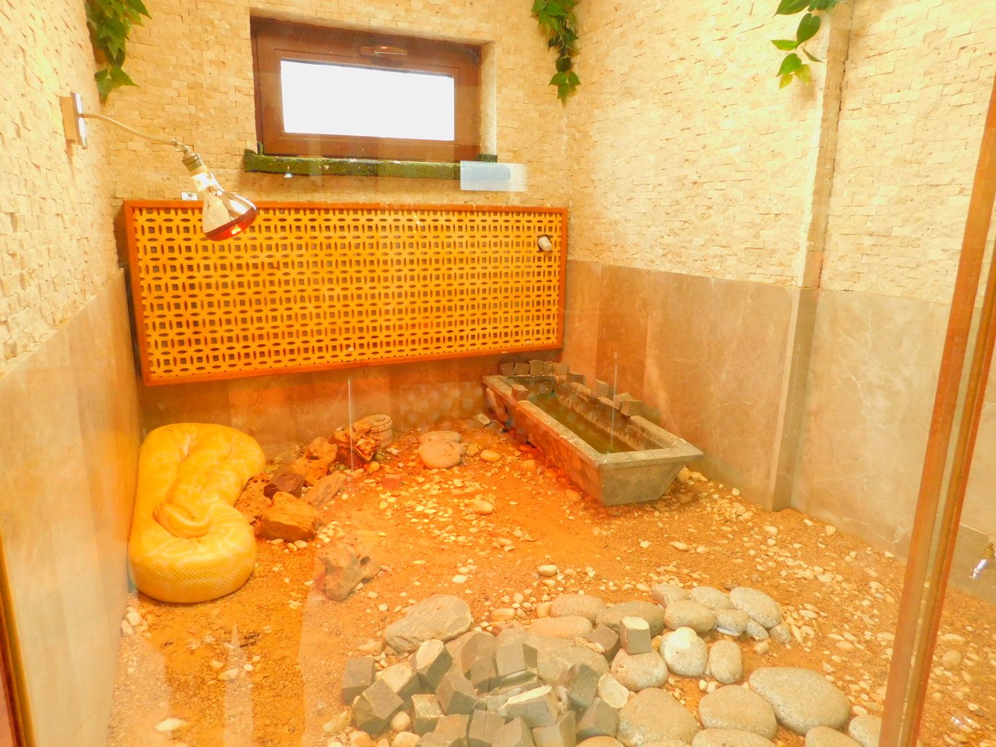 Burmese Python Enclosure at the Karatay Zoo