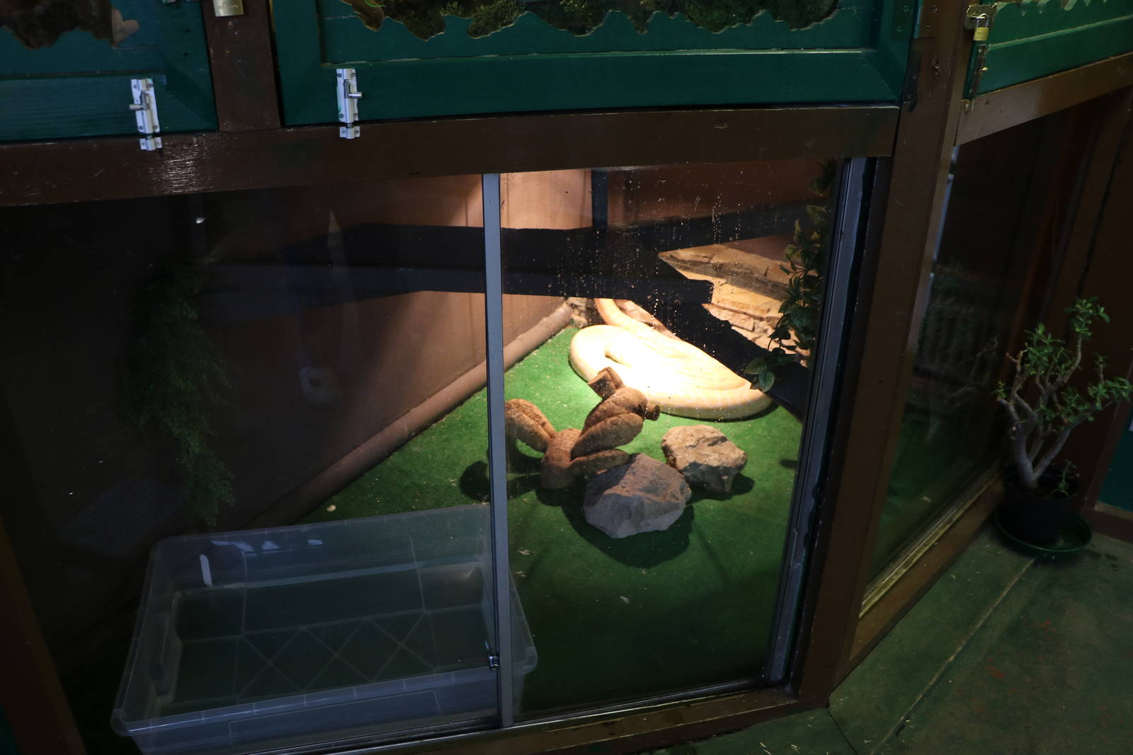 Burmese python enclosure, November 2015