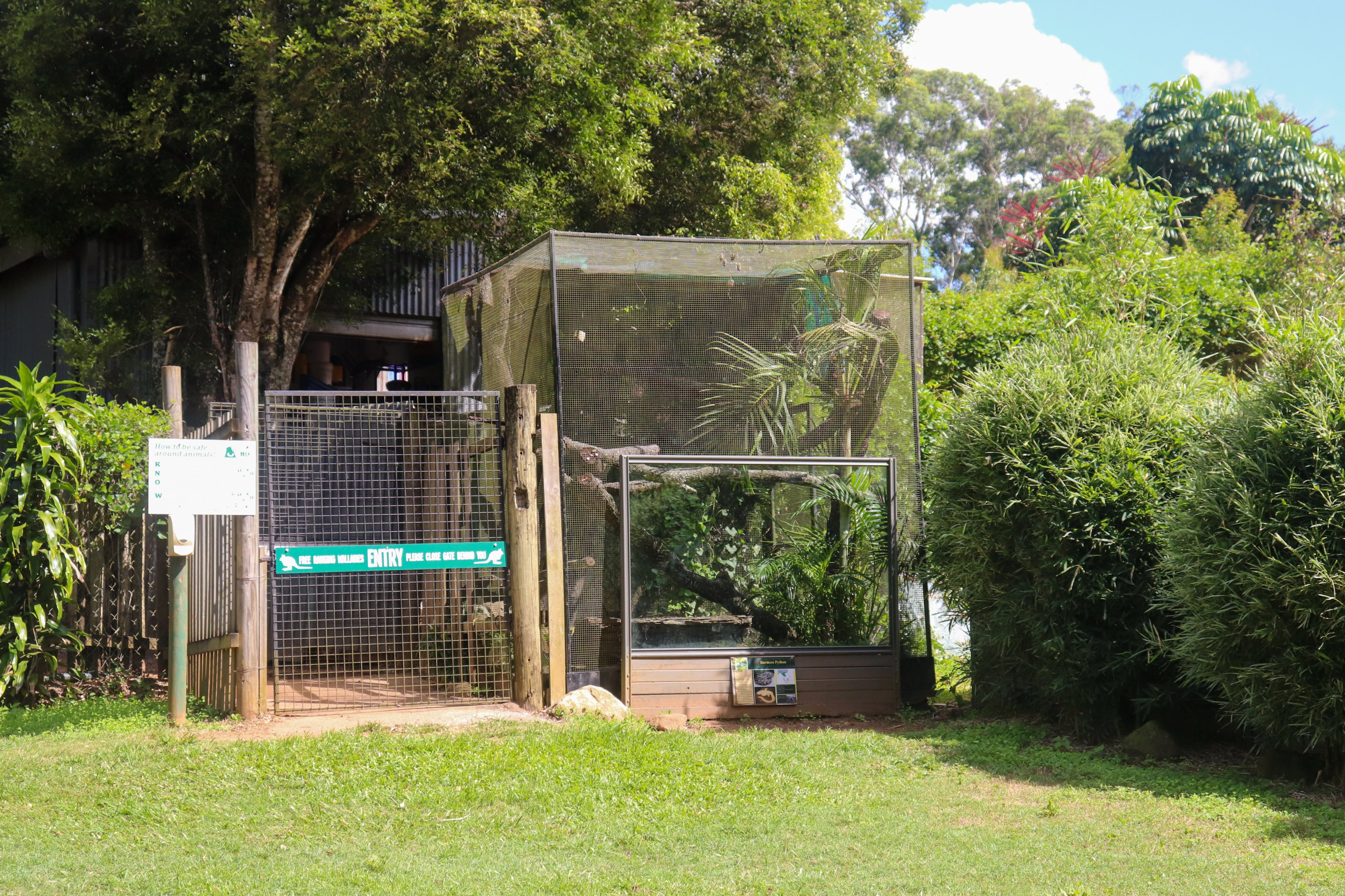 Burmese Python Enclosure