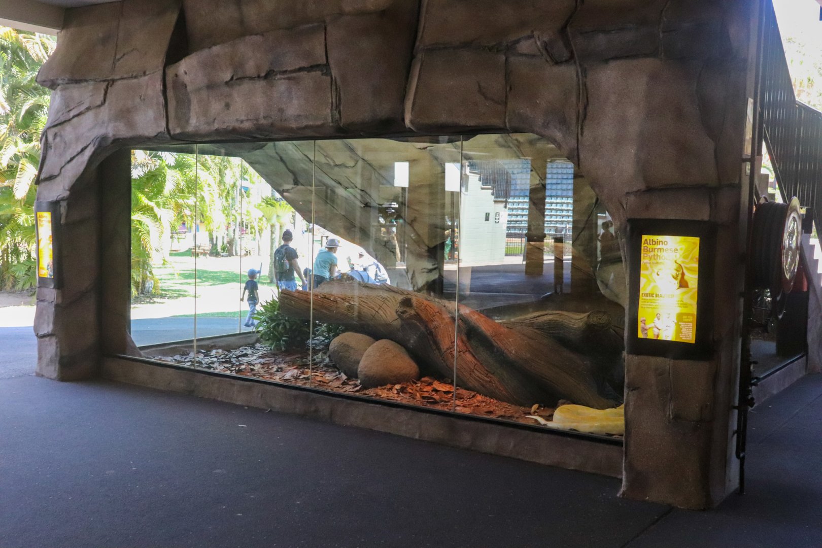 Burmese Python Enclosure