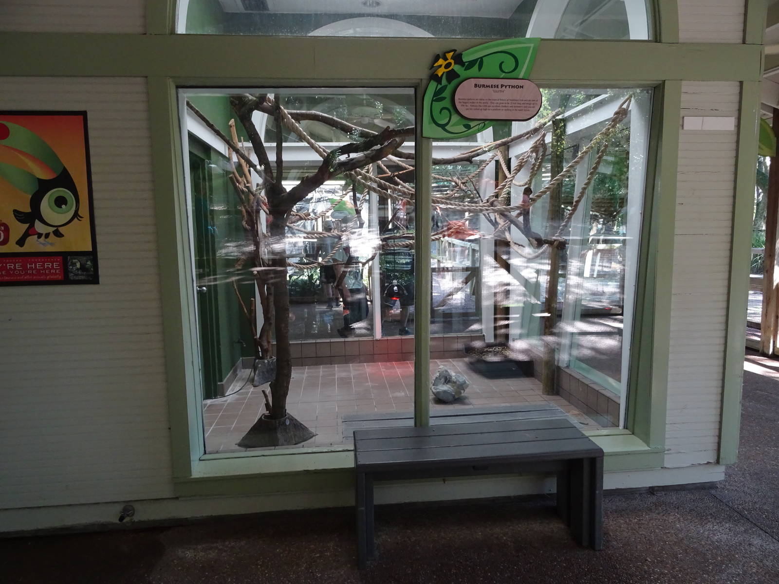 Burmese Python Exhibit at Busch Gardens Tampa