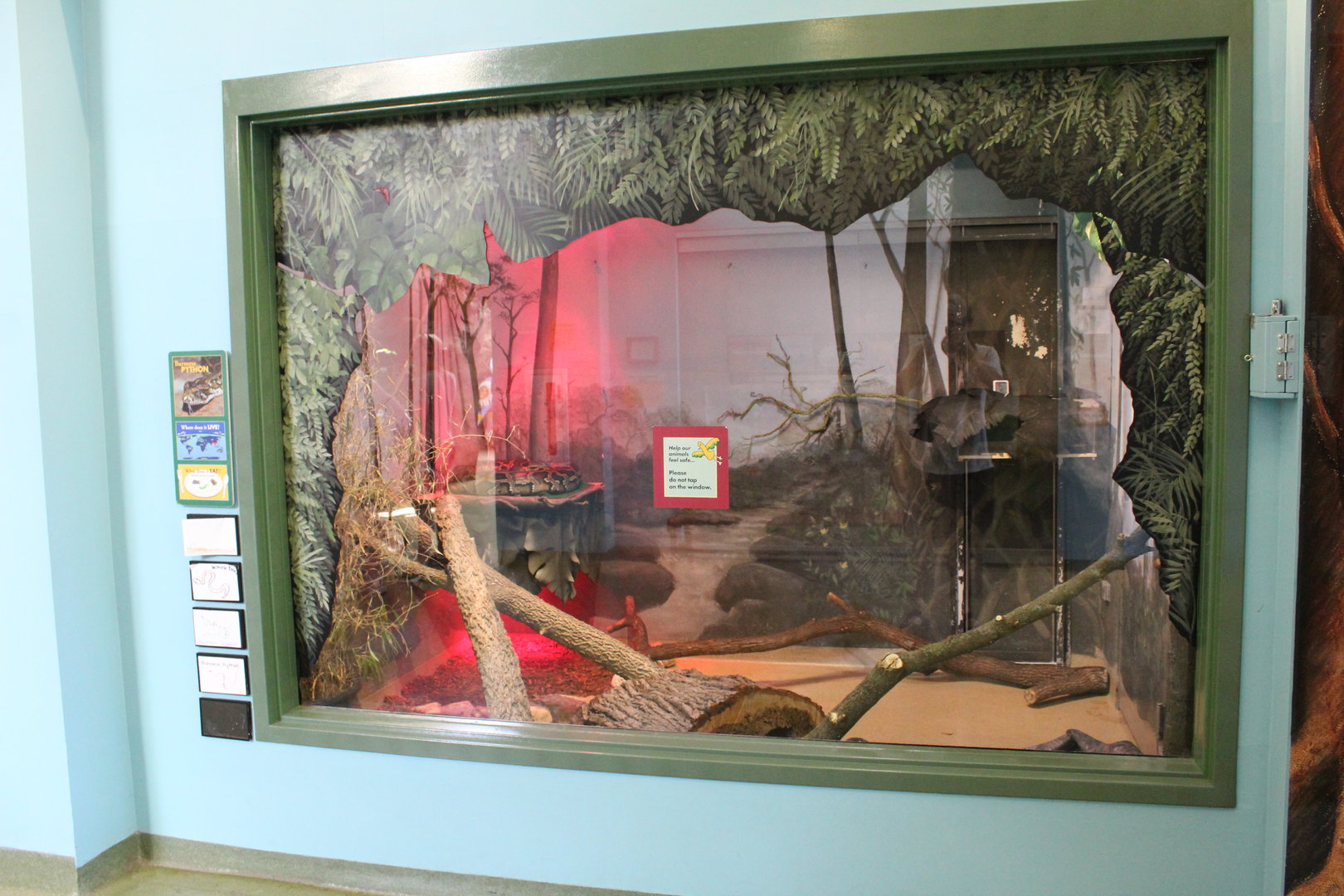 Burmese Python Exhibit - Hamill Family Play Zoo