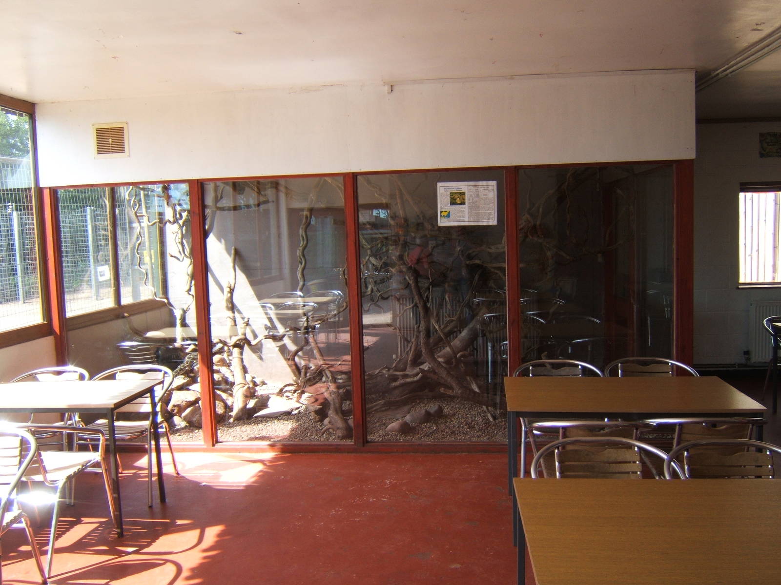Burmese Python exhibit in the indoor picnic area