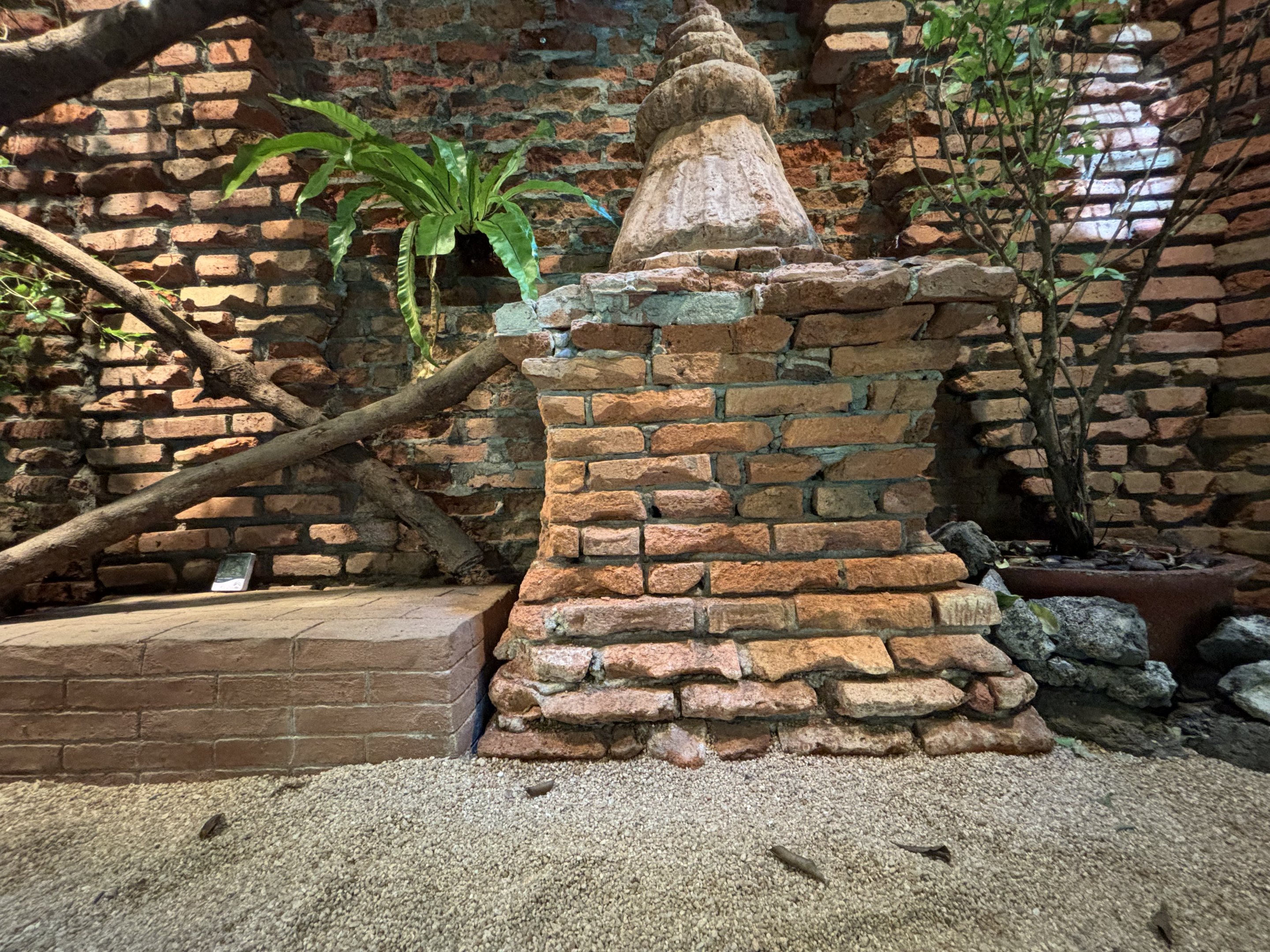 Burmese Python Exhibit - Tiger Temple