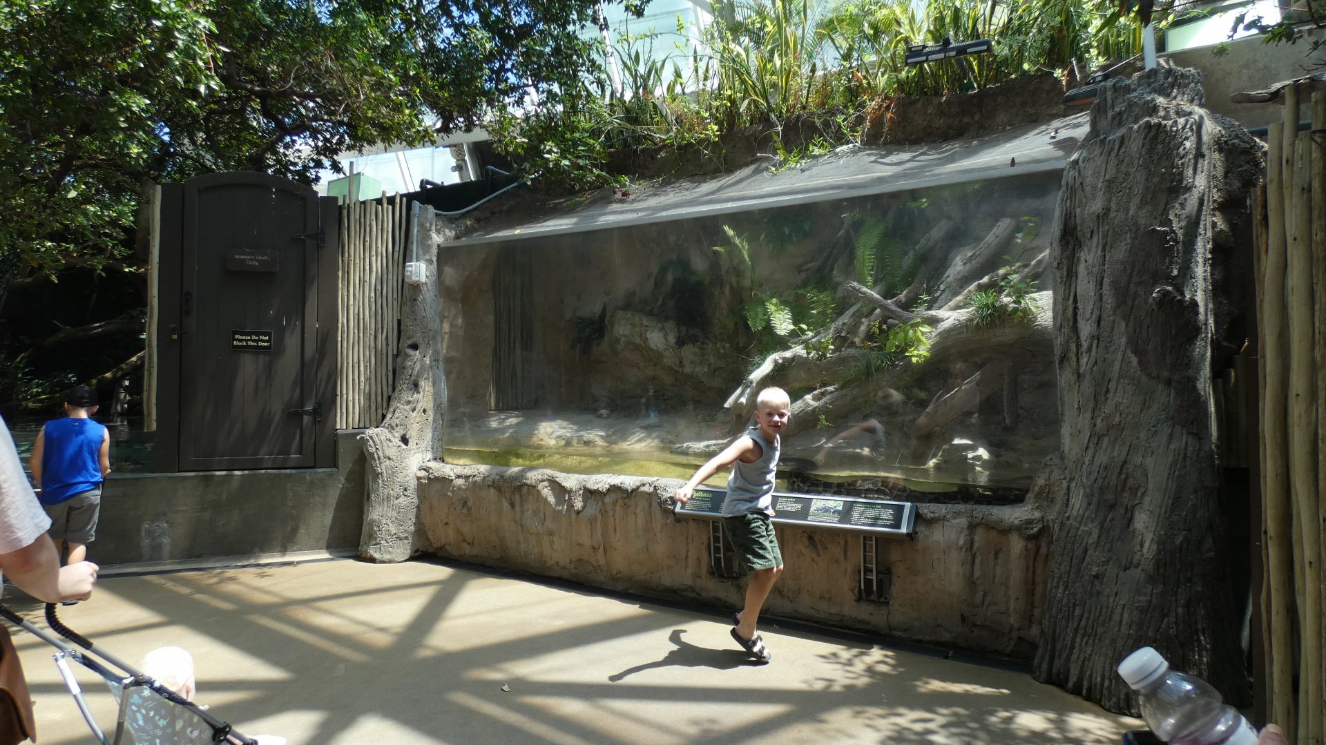 Burmese Python Exhibit, Wetlands Trail - Aug. 2021