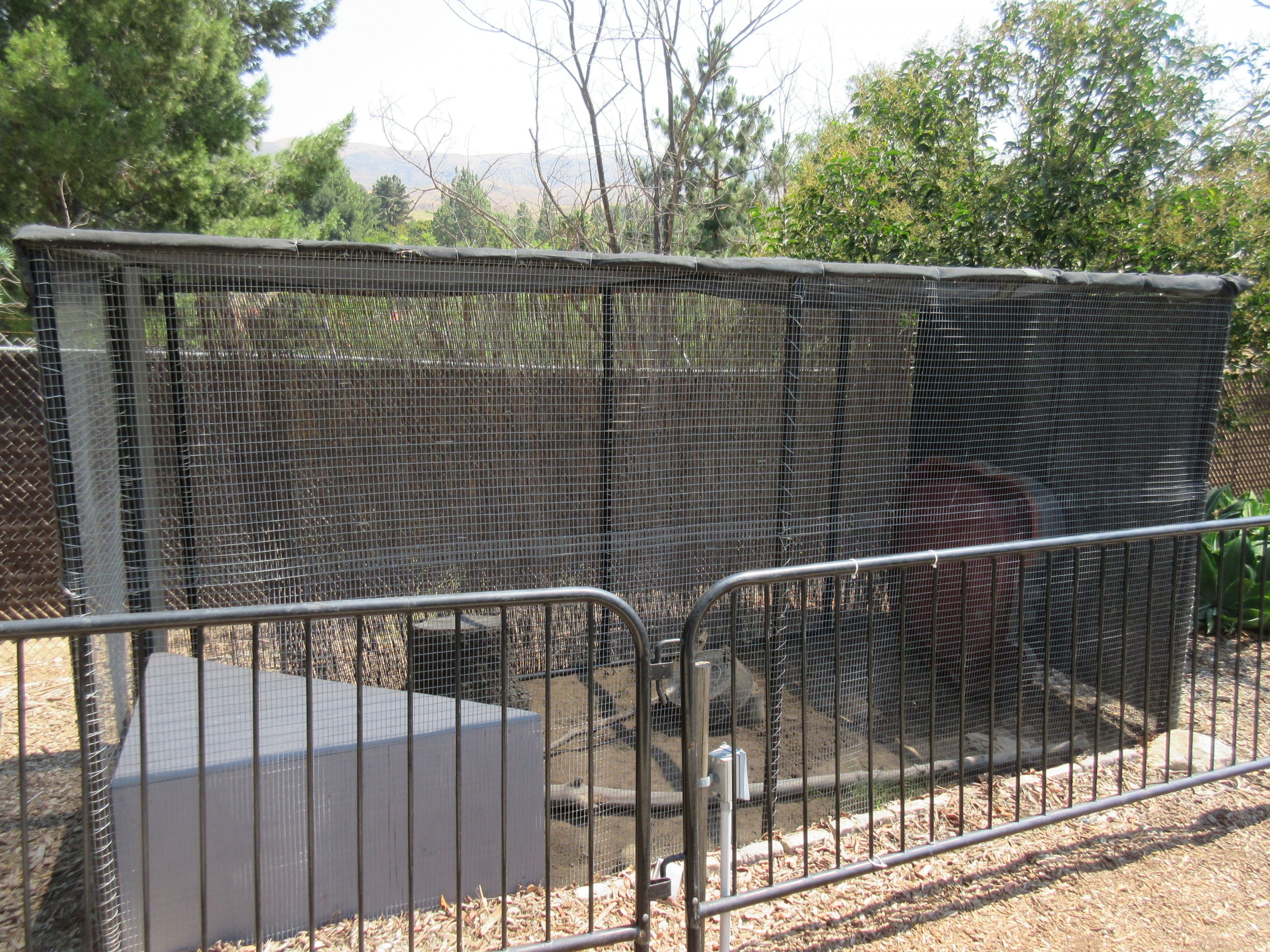 Burmese Python Exhibit
