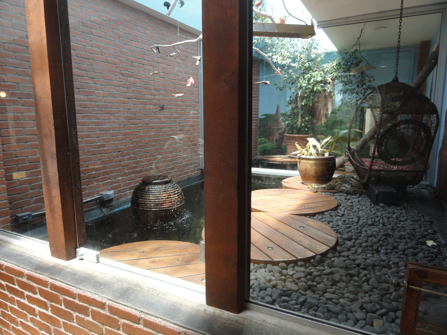 Burmese Python Exhibit