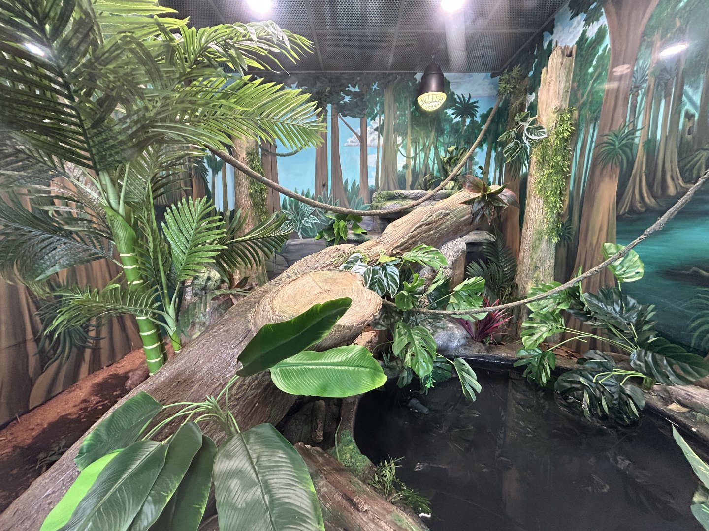 Burmese Python Exhibit