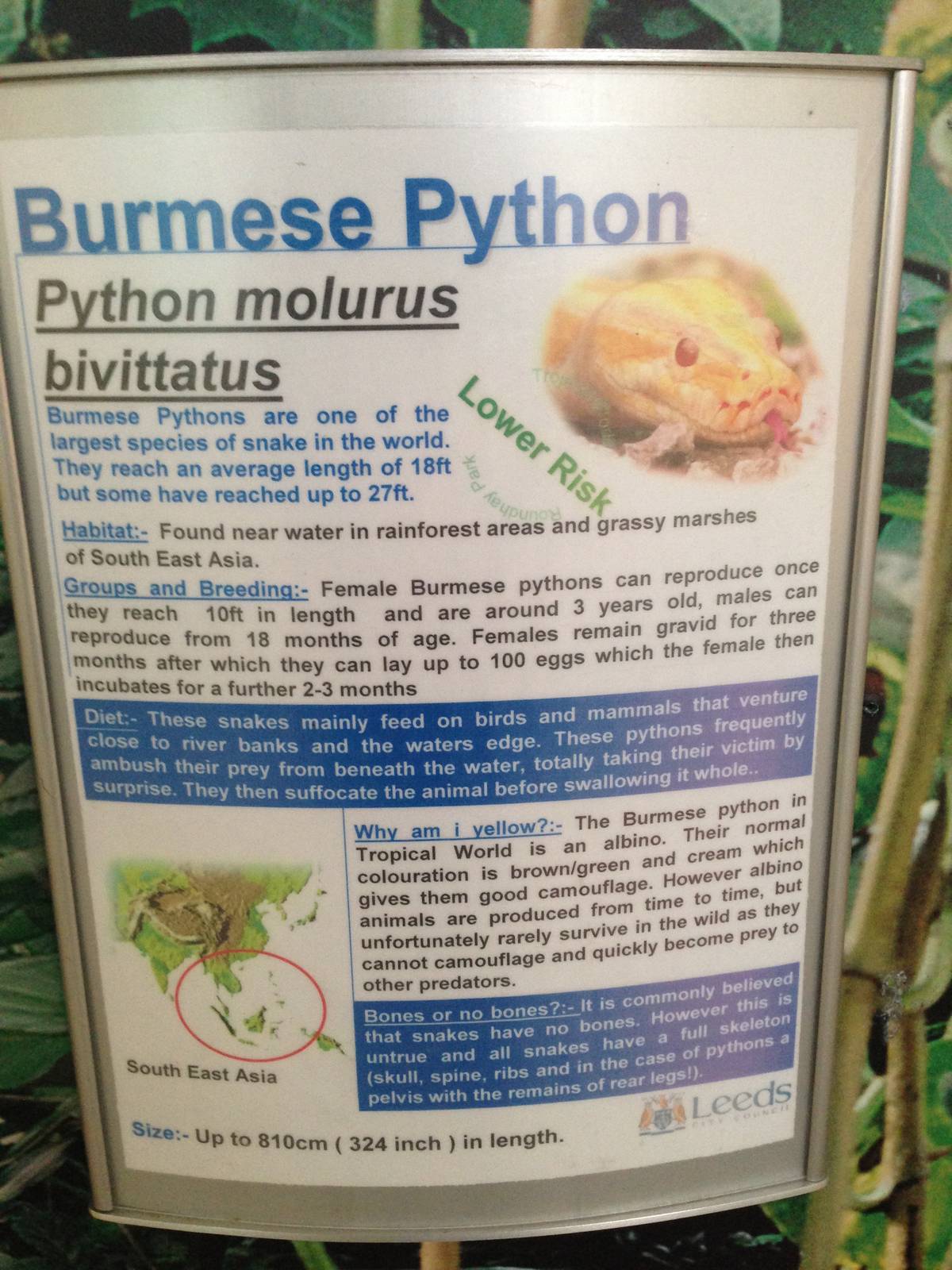 Burmese Python Signage at Tropical World - 02/10/2013